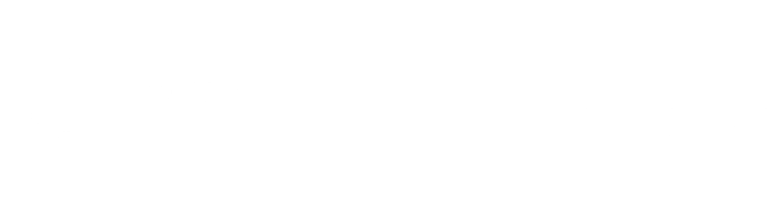 Politecnico di Bari - Dipartimento di Ingegneria elettrica e dell'informazione (DEI)